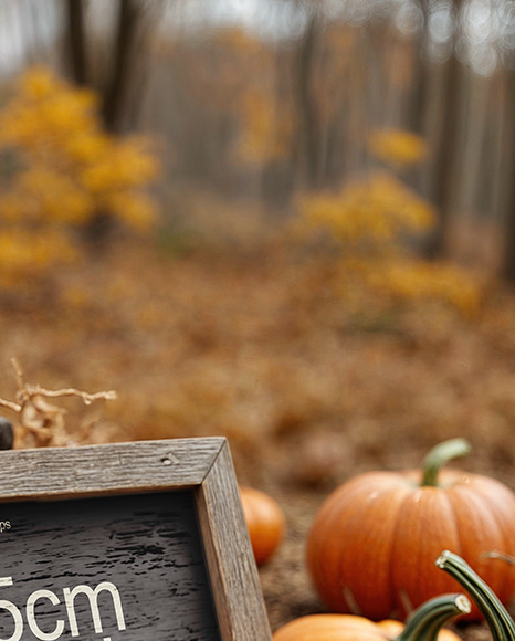 Wooden Framed Sign at Pumpkin Patch Mockup