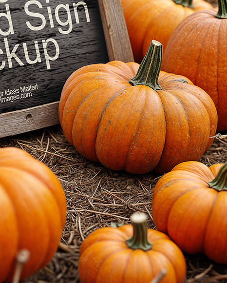 Wooden Framed Sign at Pumpkin Patch Mockup