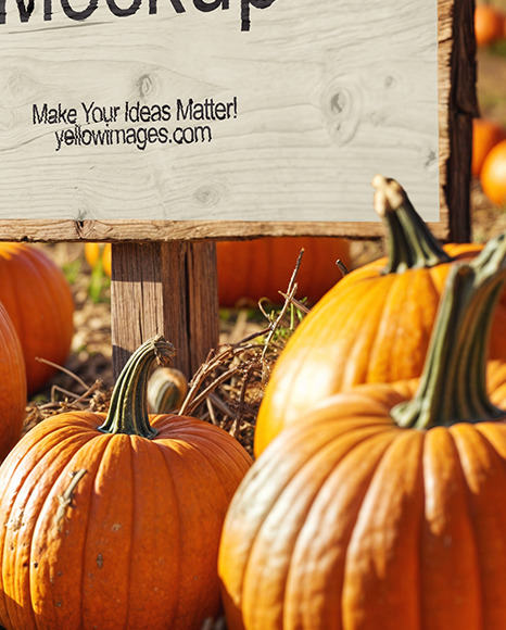 Wooden Sign at Pumpkin Patch Mockup