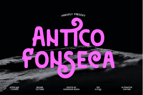 Antico Fonseca Font - Minimalistic