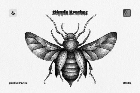 Affinity Stipple Brushes - Drawing illustration