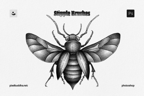 Photoshop Stipple Brushes - Drawing illustration