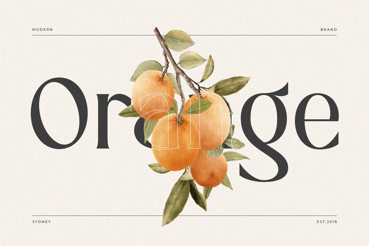 YANKING - Modern Display Ligature Font YANKING - Modern Display Ligature Font