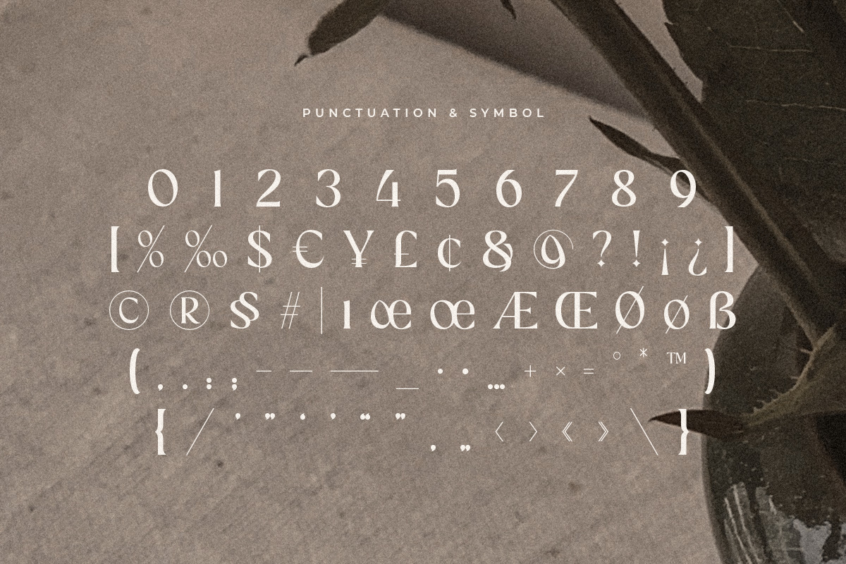 YANKING - Modern Display Ligature Font YANKING - Modern Display Ligature Font