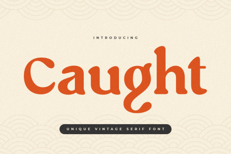 Caught - Unique Vintage Serif Font - Brand logo