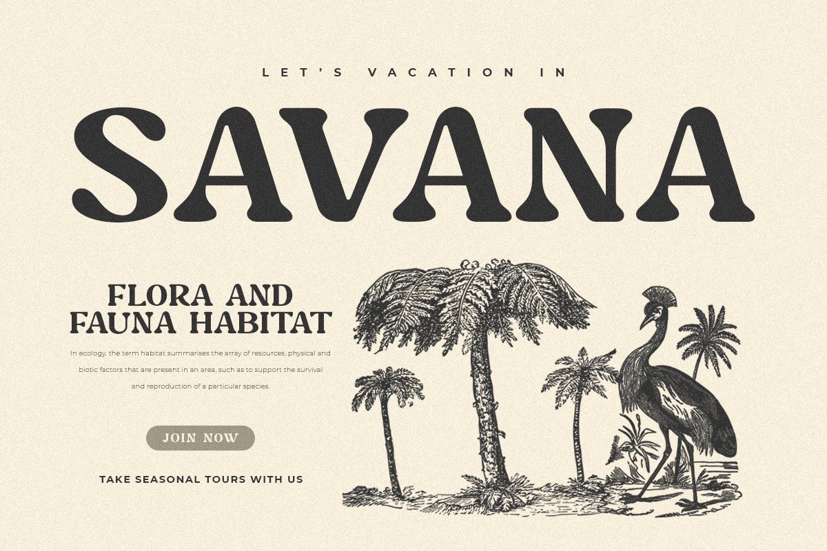 Caught - Unique Vintage Serif Font Caught - Unique Vintage Serif Font