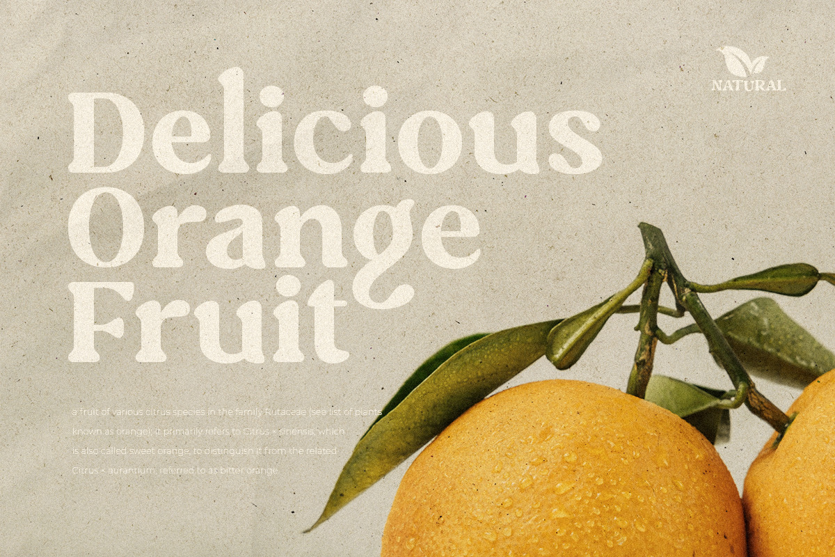 Caught - Unique Vintage Serif Font Caught - Unique Vintage Serif Font
