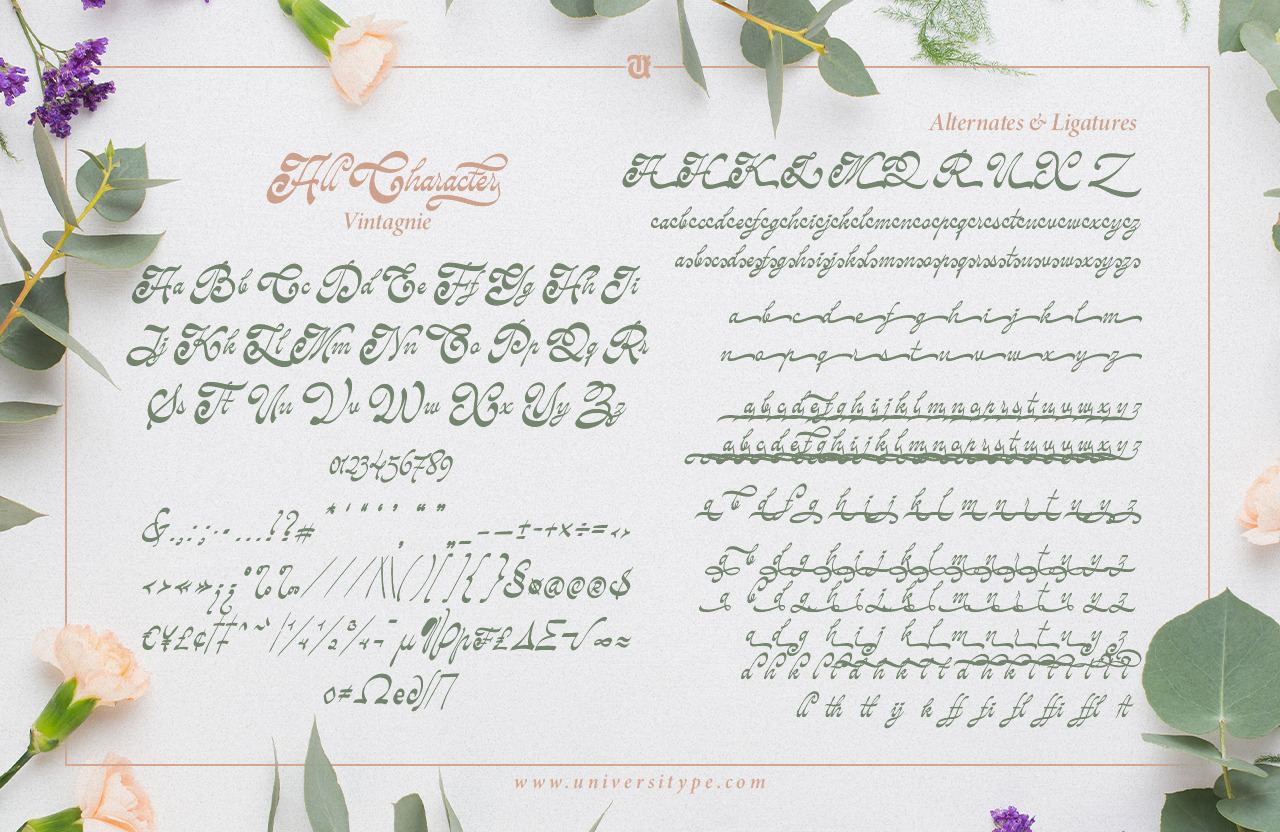UT Vintagnie - A Reversed Contrast Script Font UT Vintagnie - A Reversed Contrast Script Font
