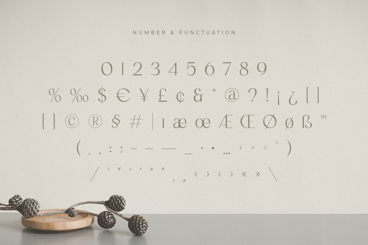 Romantic - Modern Beauty Sans Serif Romantic - Modern Beauty Sans Serif