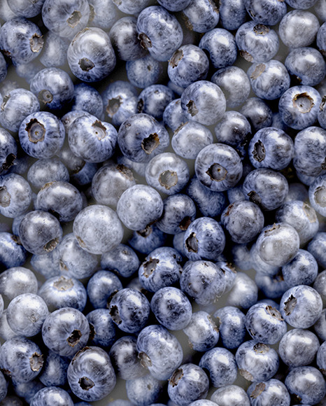 Box With Blueberries Mockup
