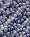 Box With Blueberries Mockup