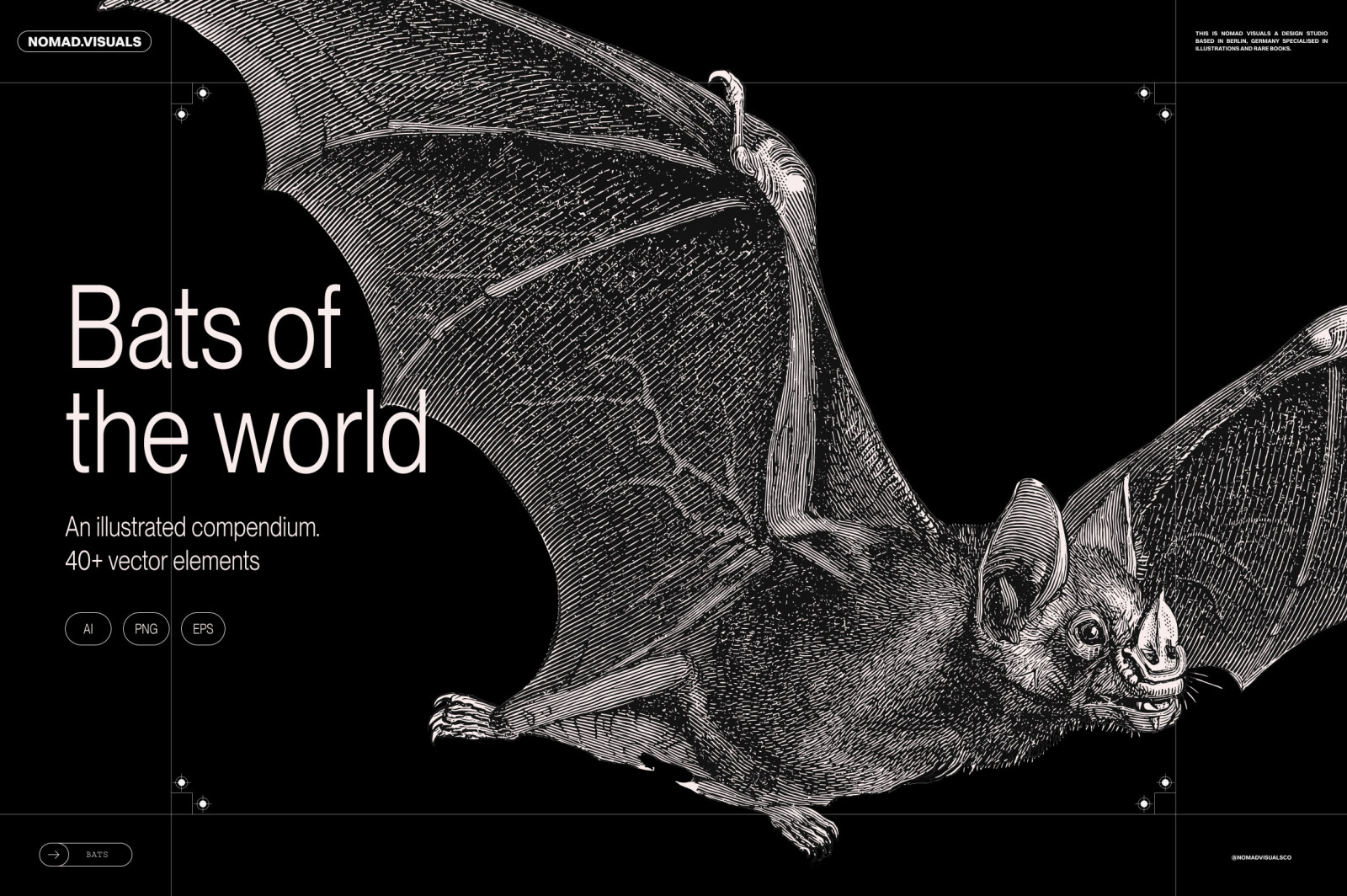 Bats of the World Bats of the World