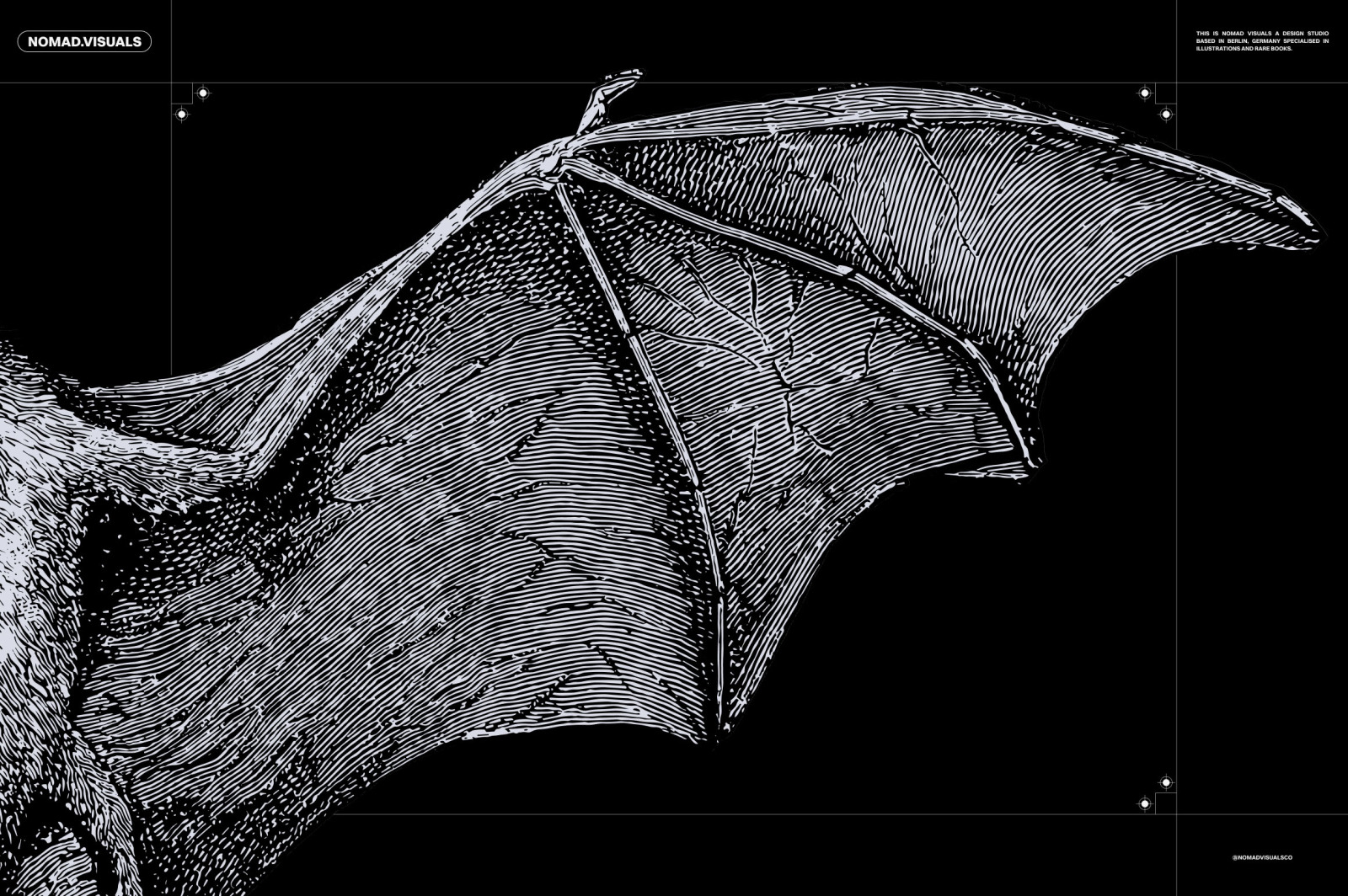 Bats of the World Bats of the World