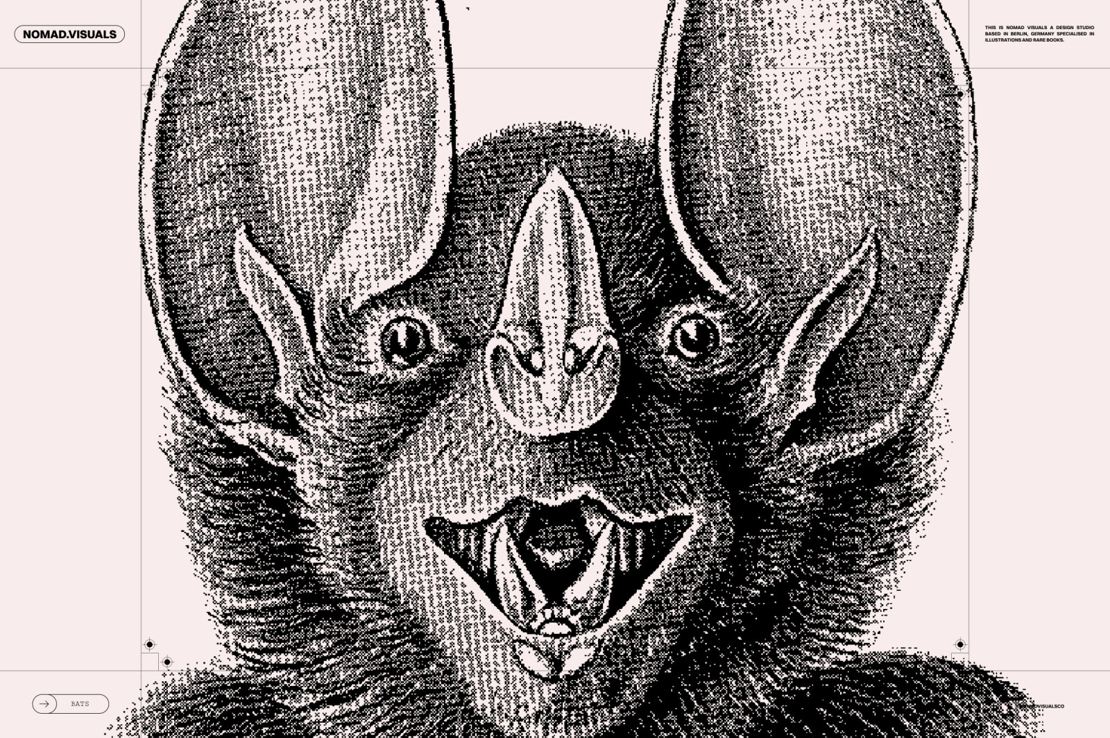 Bats of the World Bats of the World
