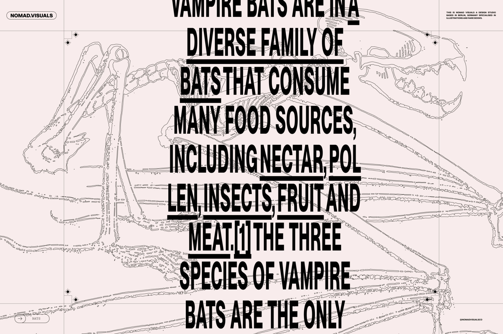 Bats of the World Bats of the World