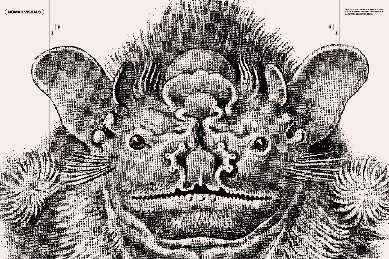 Bats of the World Bats of the World