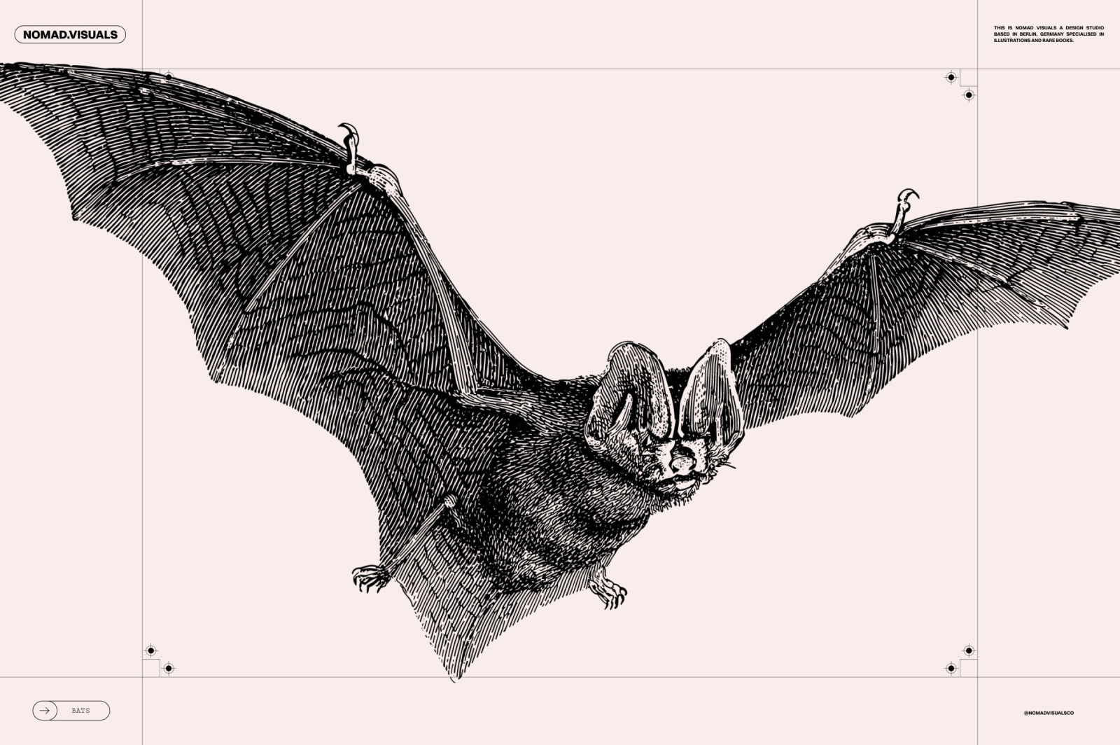 Bats of the World Bats of the World