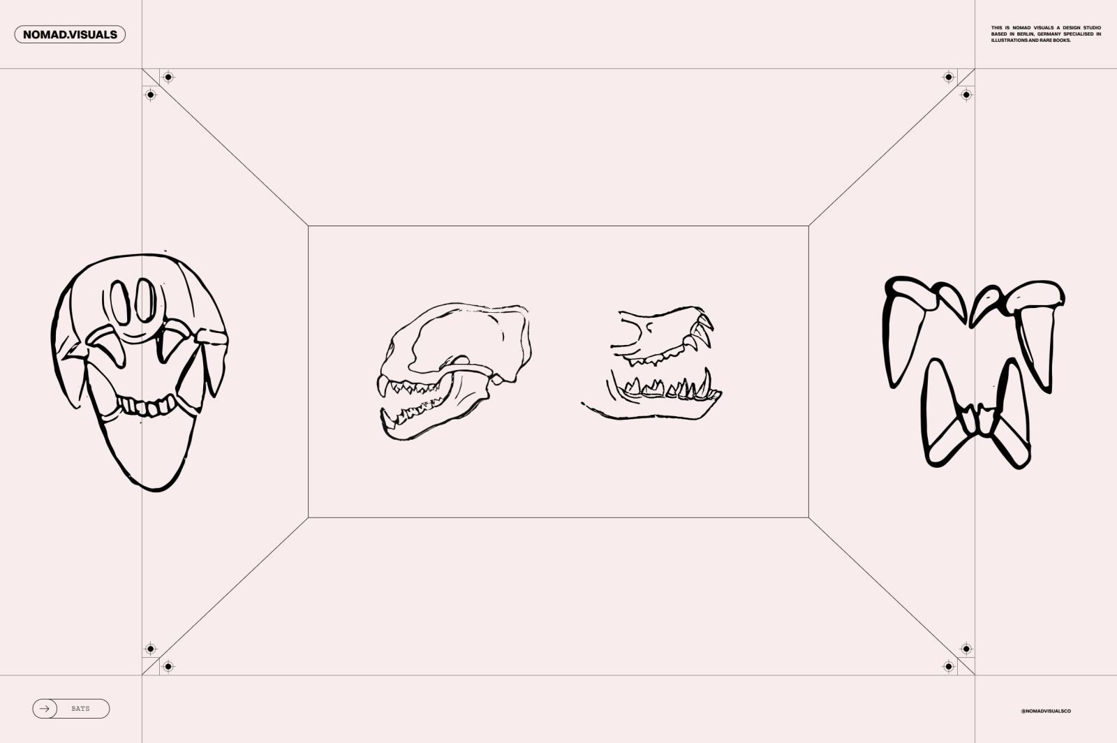 Bats of the World Bats of the World