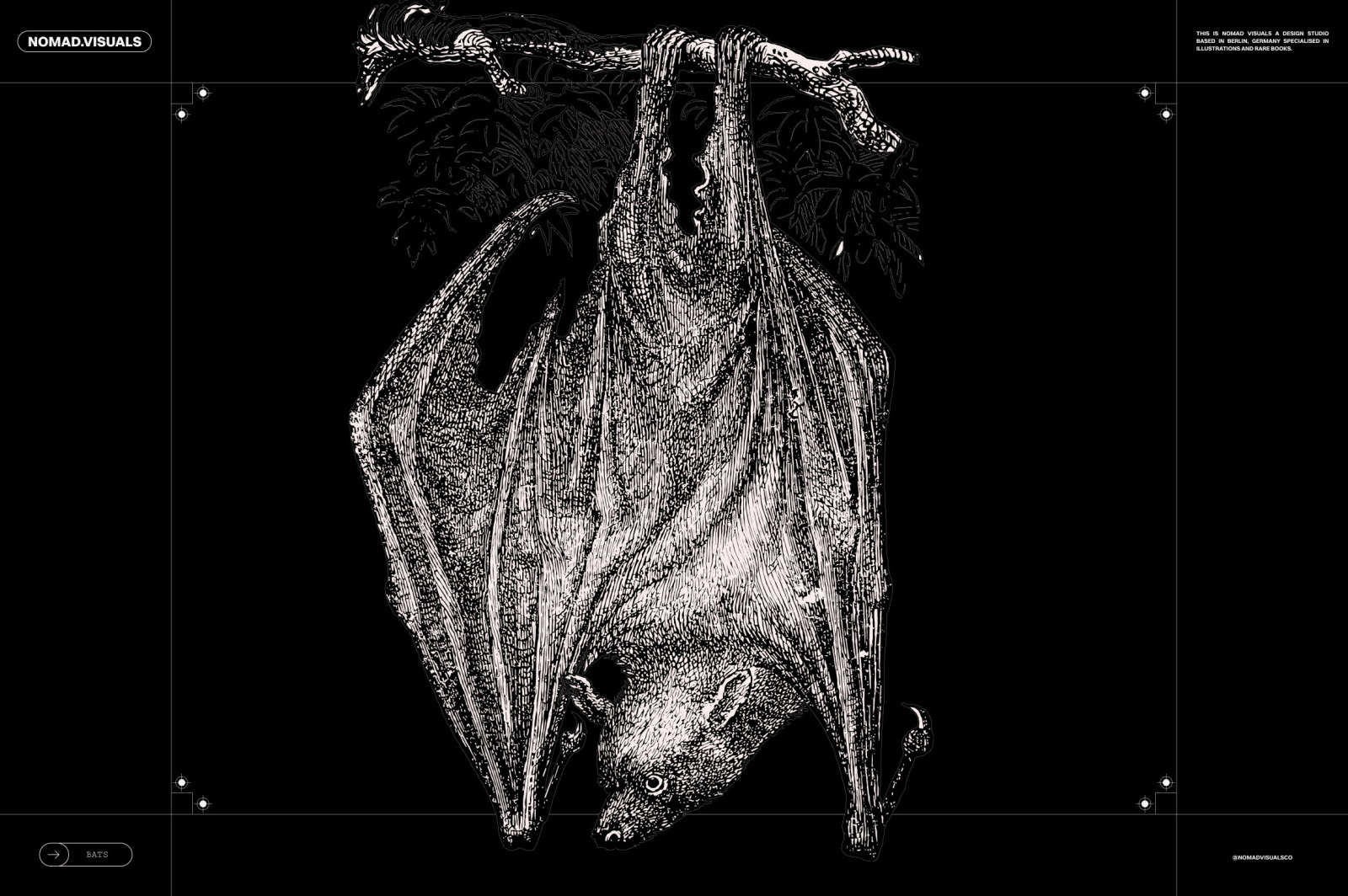 Bats of the World Bats of the World