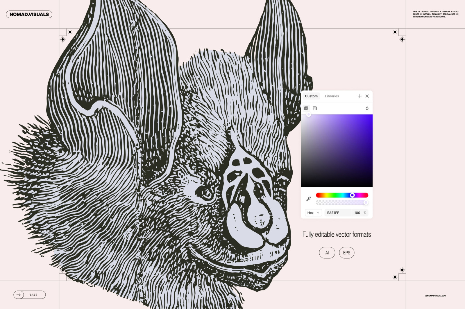 Bats of the World Bats of the World