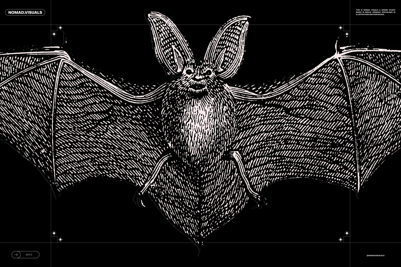 Bats of the World Bats of the World