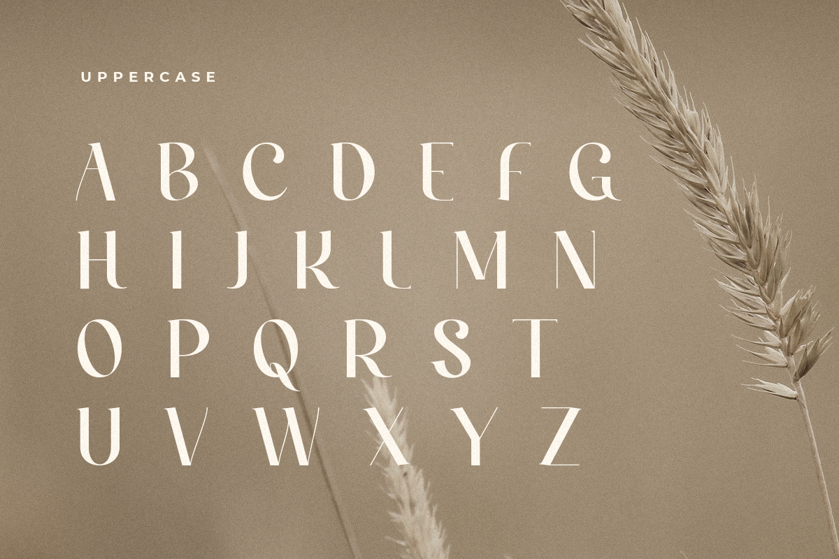 Caramel - Classy serif Font Caramel - Classy serif Font