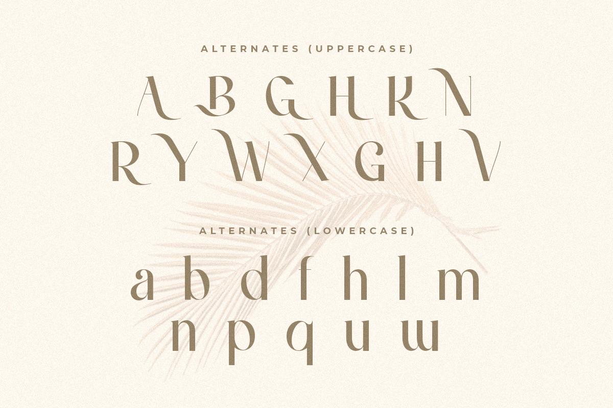 Caramel - Classy serif Font Caramel - Classy serif Font