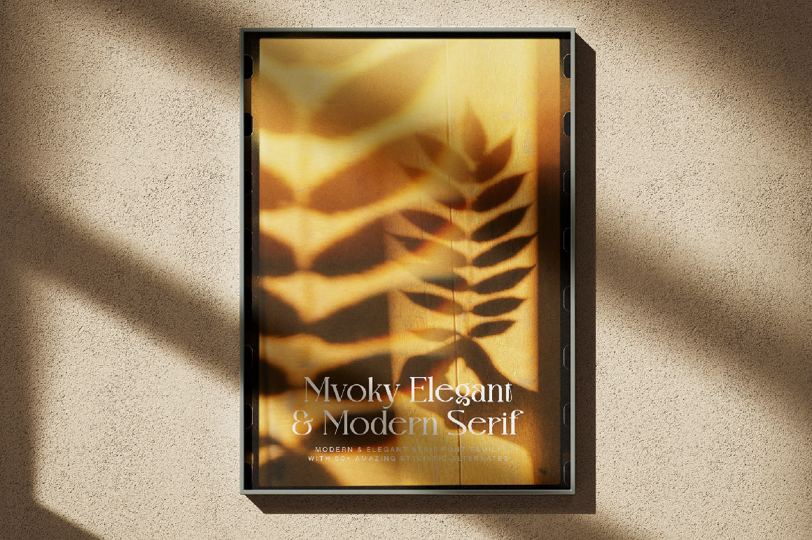 Mvoky Modern & Elegant Serif Family Mvoky Modern & Elegant Serif Family