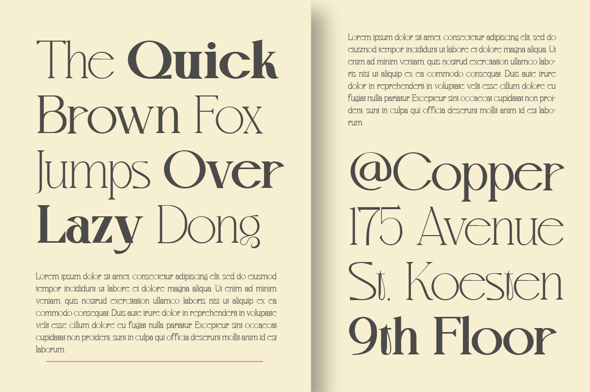Mvoky Modern & Elegant Serif Family Mvoky Modern & Elegant Serif Family