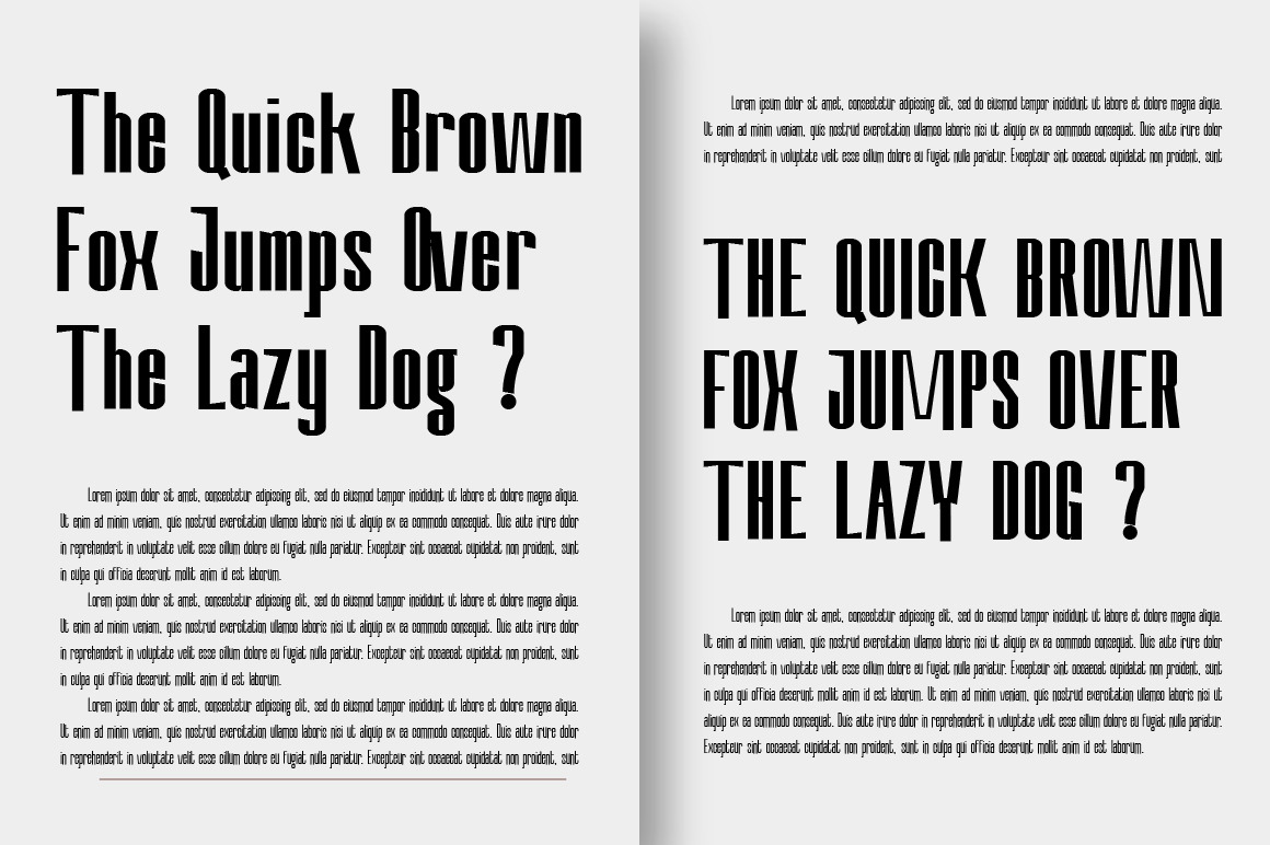 Nevary Modern & Elegant Sans Serif Family Nevary Modern & Elegant Sans Serif Family