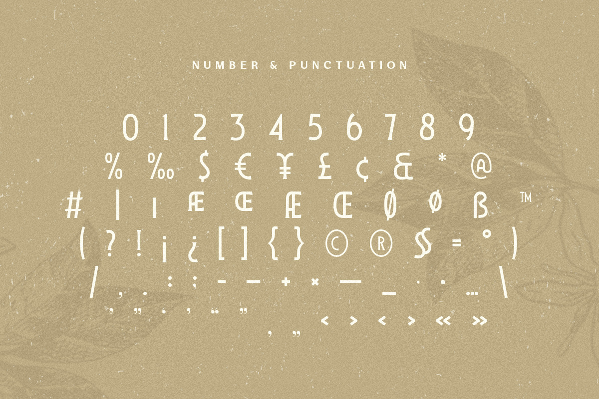 Stylish Serif - Ligature Retro Vintage Serif