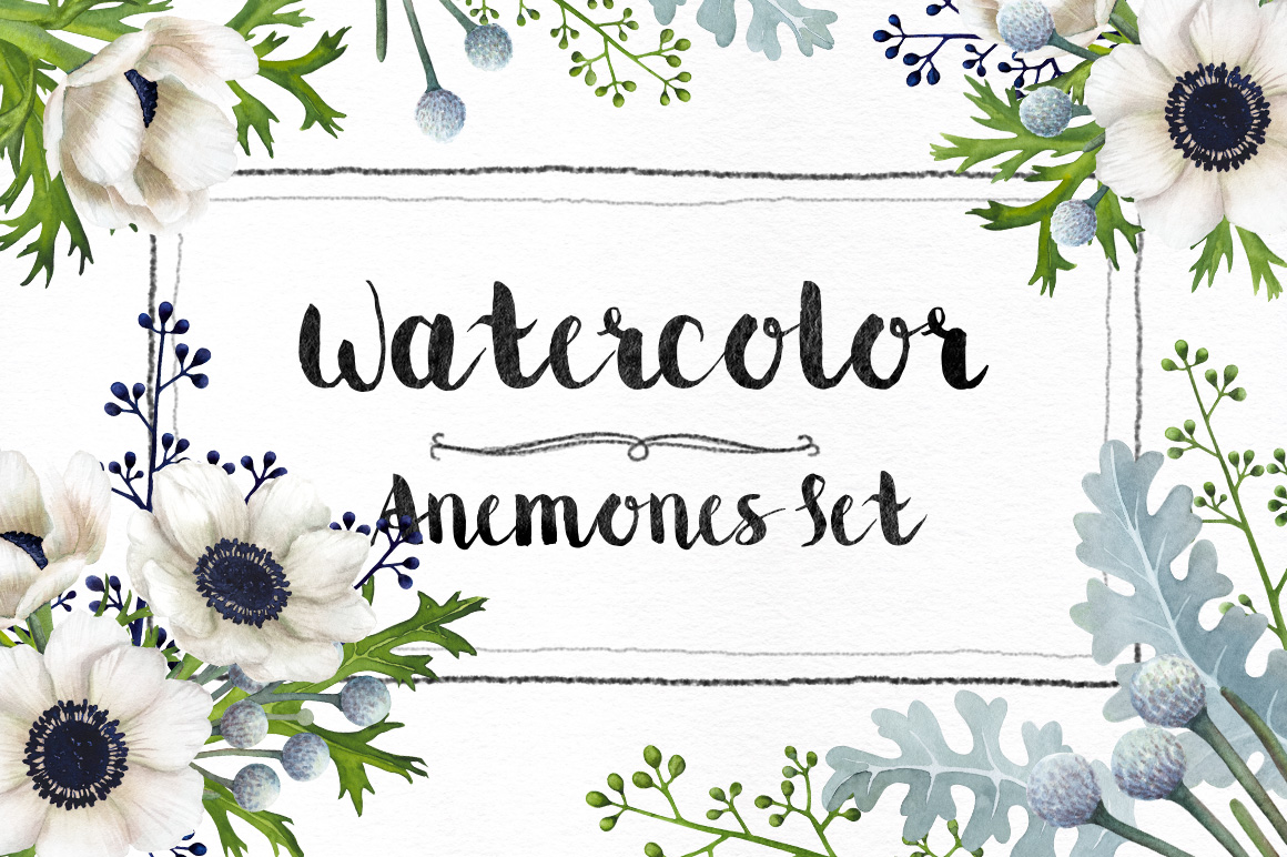 Watercolor Anemones Set Watercolor Anemones Set