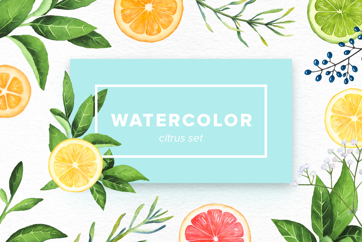Watercolor Citrus Set Watercolor Citrus Set