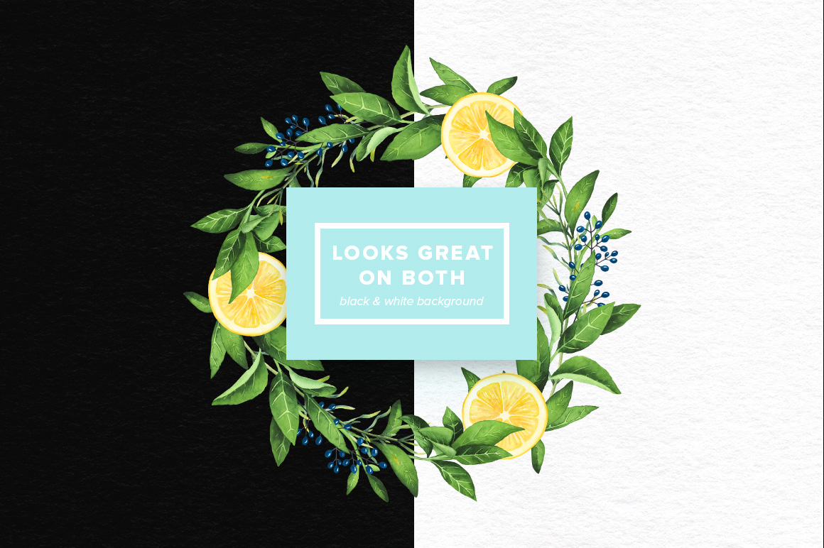 Watercolor Citrus Set Watercolor Citrus Set