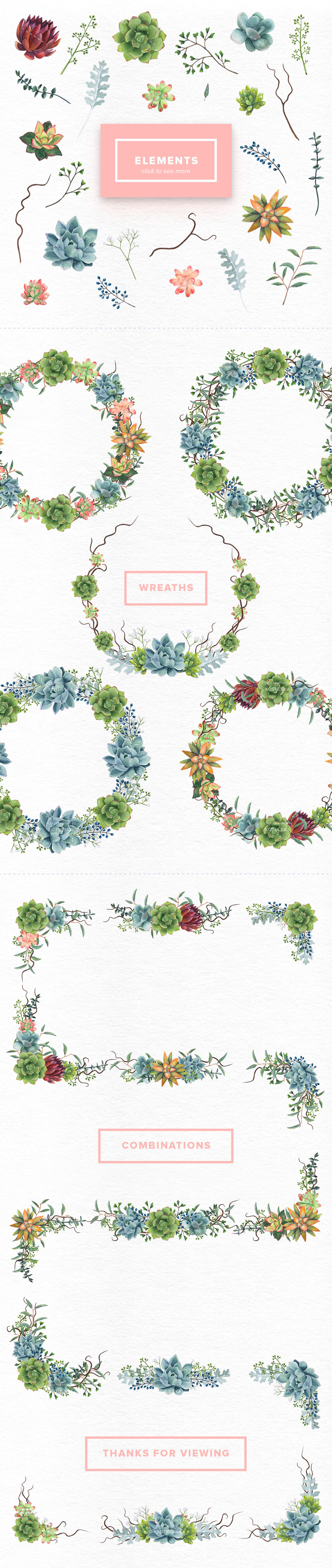 Watercolor Succulents Set Watercolor Succulents Set