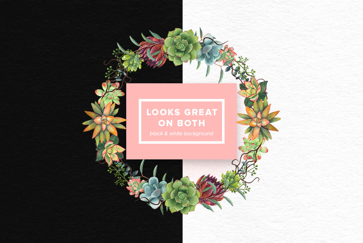 Watercolor Succulents Set Watercolor Succulents Set