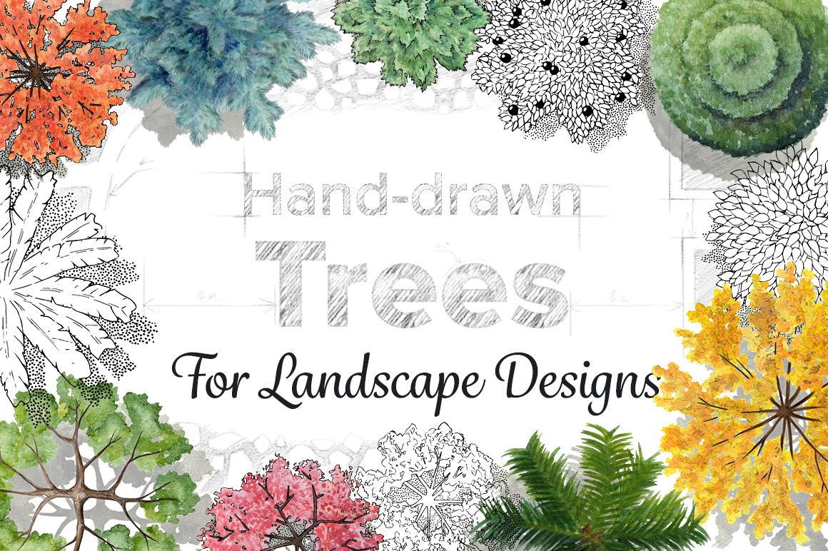 Hand-Drawn Trees Hand-Drawn Trees