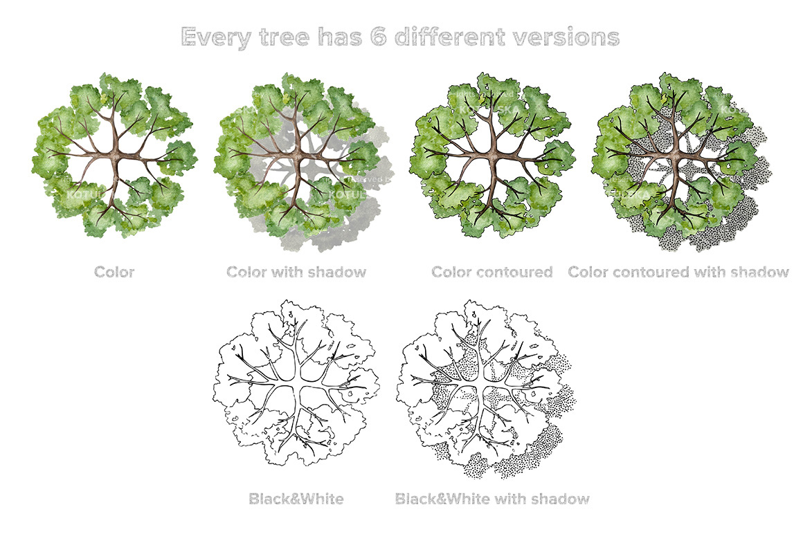 Hand-Drawn Trees