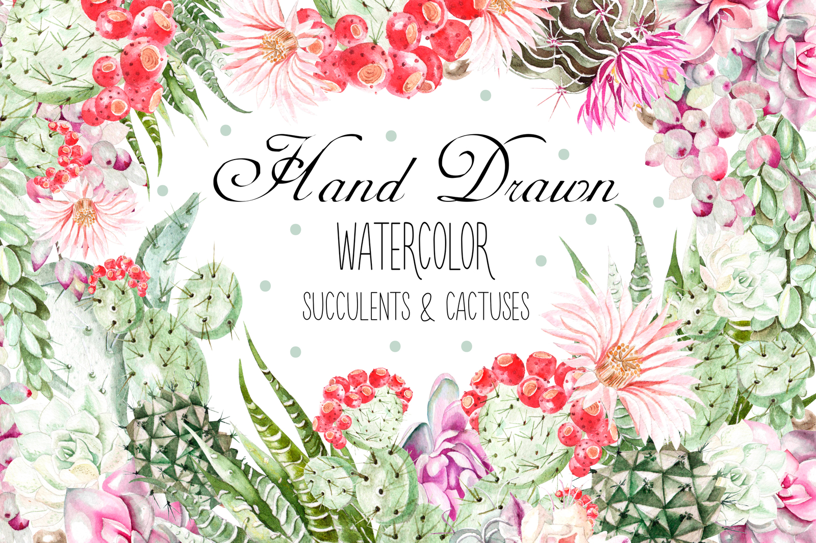 Watercolor SUCCULENTS &amp; CACTUSES