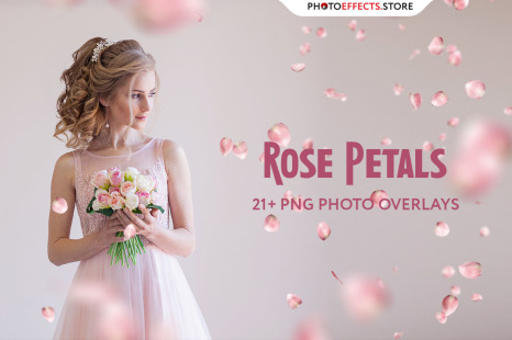 21 Rose Petal Photo Overlays - Wedding flowers