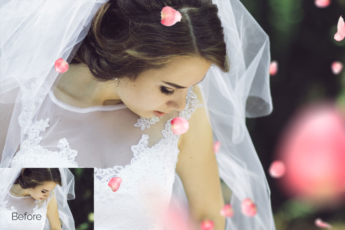 21 Rose Petal Photo Overlays 21 Rose Petal Photo Overlays