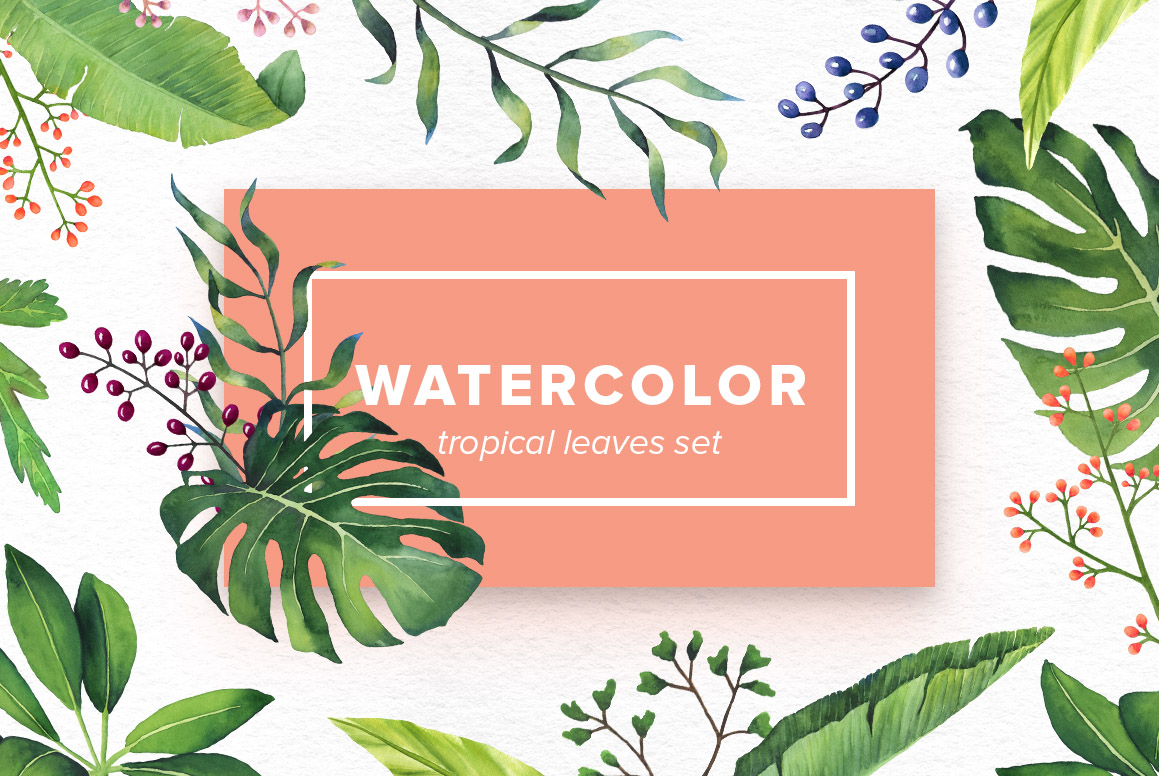 Watercolor Tropical Leaves Set