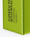 Metallic Paper Bag With Boxes Mockup - Half Side View