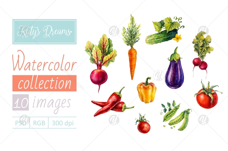 Watercolor set / Vegetables