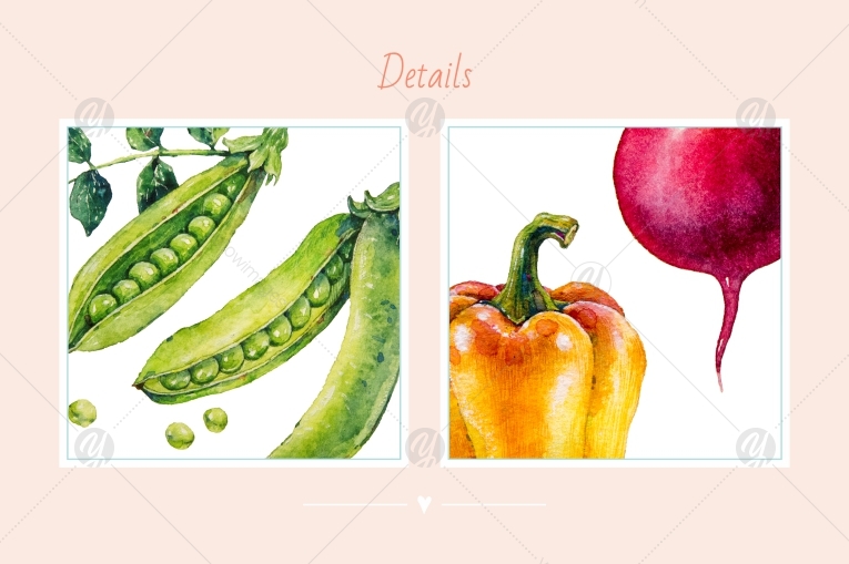 Watercolor set / Vegetables Watercolor set / Vegetables