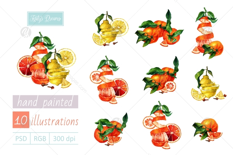 Watercolor set / Lemons and oranges