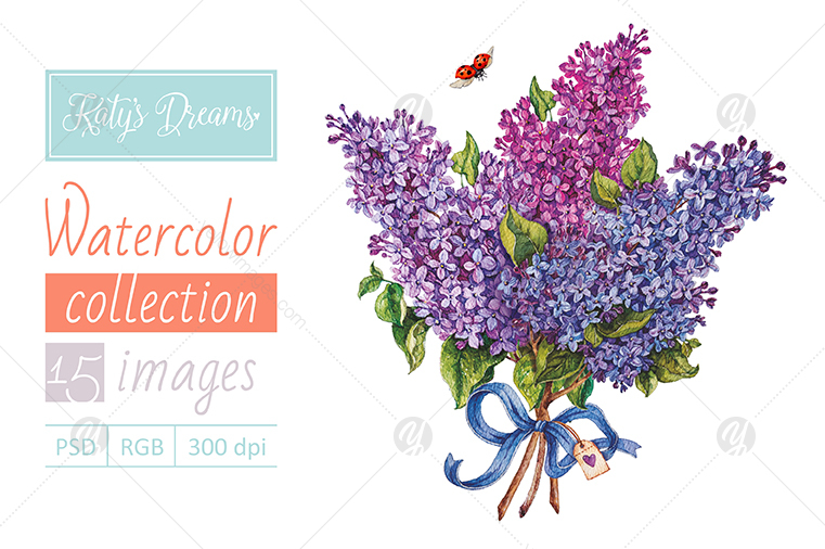 Watercolor set / Lilac Watercolor set / Lilac
