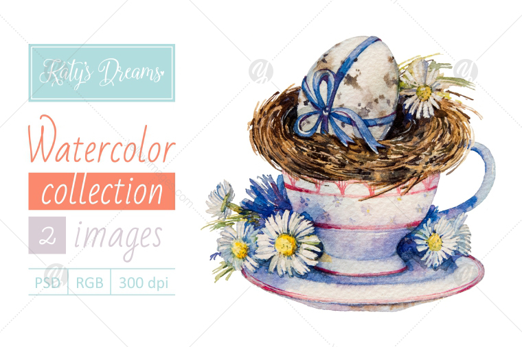 Watercolor set_Chamomiles and nest Watercolor set_Chamomiles and nest