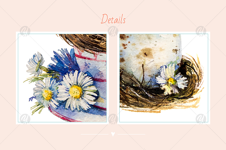 Watercolor set_Chamomiles and nest Watercolor set_Chamomiles and nest