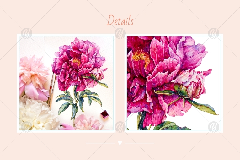 Watercolor peony Watercolor peony